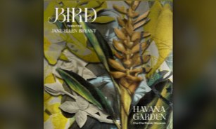 Bird estrena remix de «Havana Garden» y anuncia gira con Ward Thomas y Ron Pope