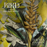 Bird estrena remix de «Havana Garden» y anuncia gira con Ward Thomas y Ron Pope